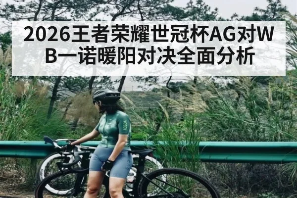 2026王者荣耀世冠杯AG对WB一诺暖阳对决全面分析
